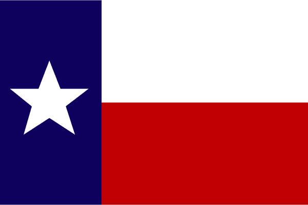 Seguros en Texas